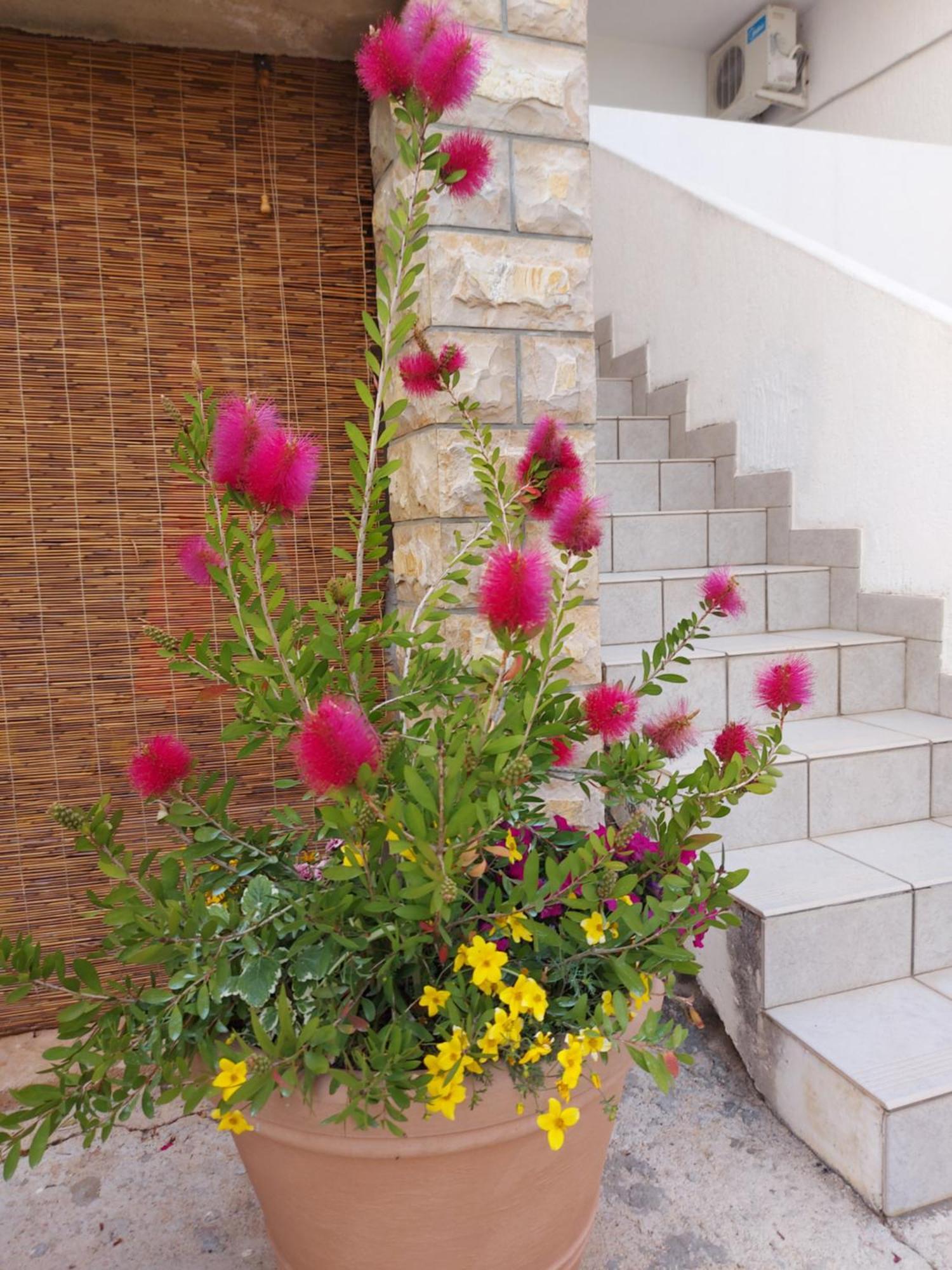 Appartement Rumora Ivan